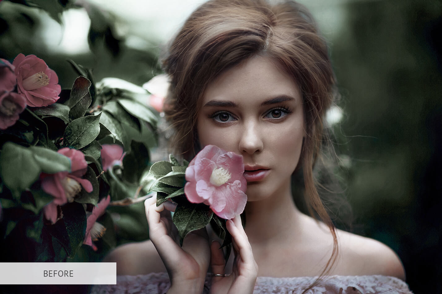 Lightroom Brushes for PortraitsPerfect Lightroom Brushes Portraits