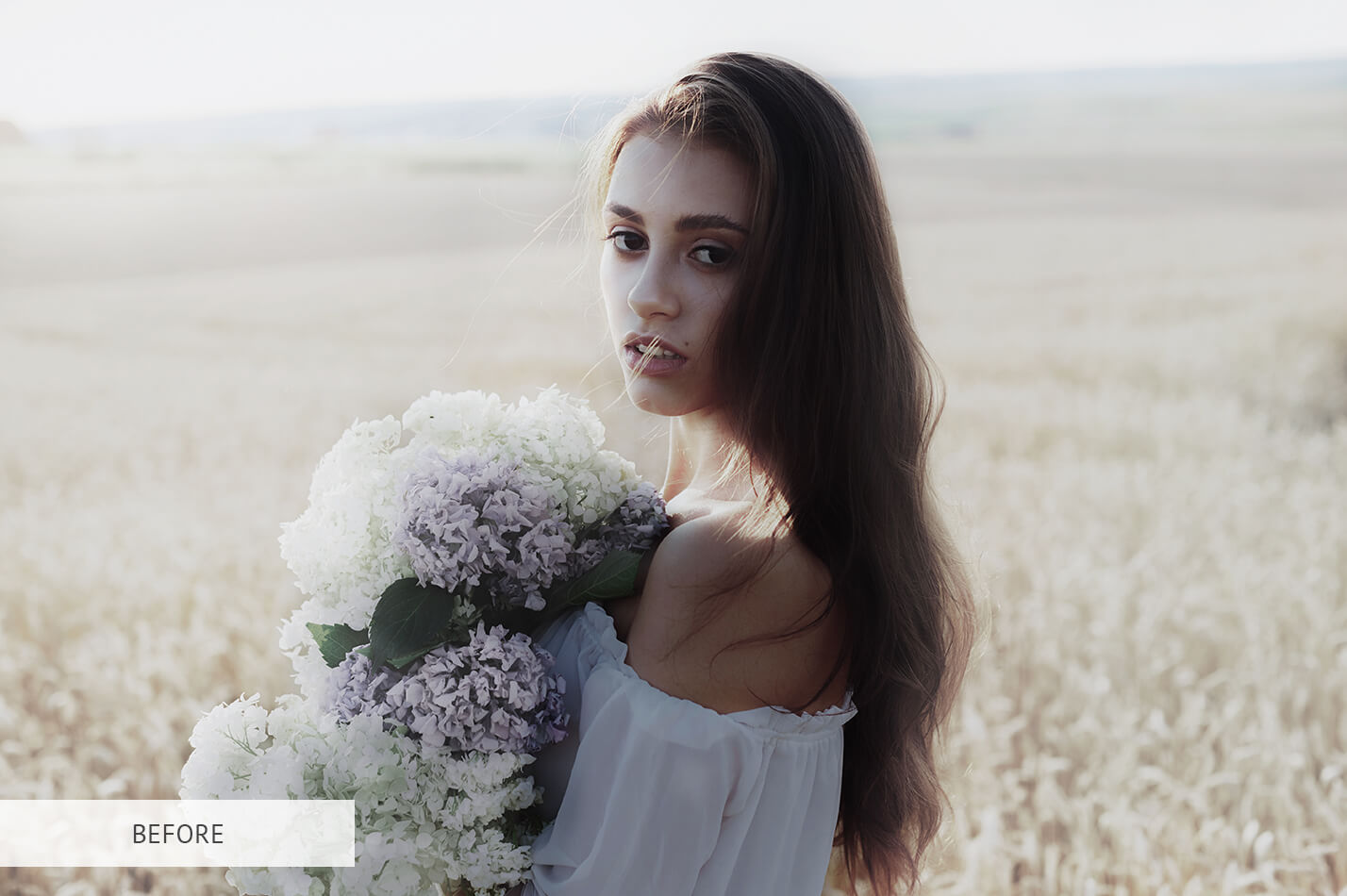 Lightroom Brushes for PortraitsPerfect Lightroom Brushes Portraits