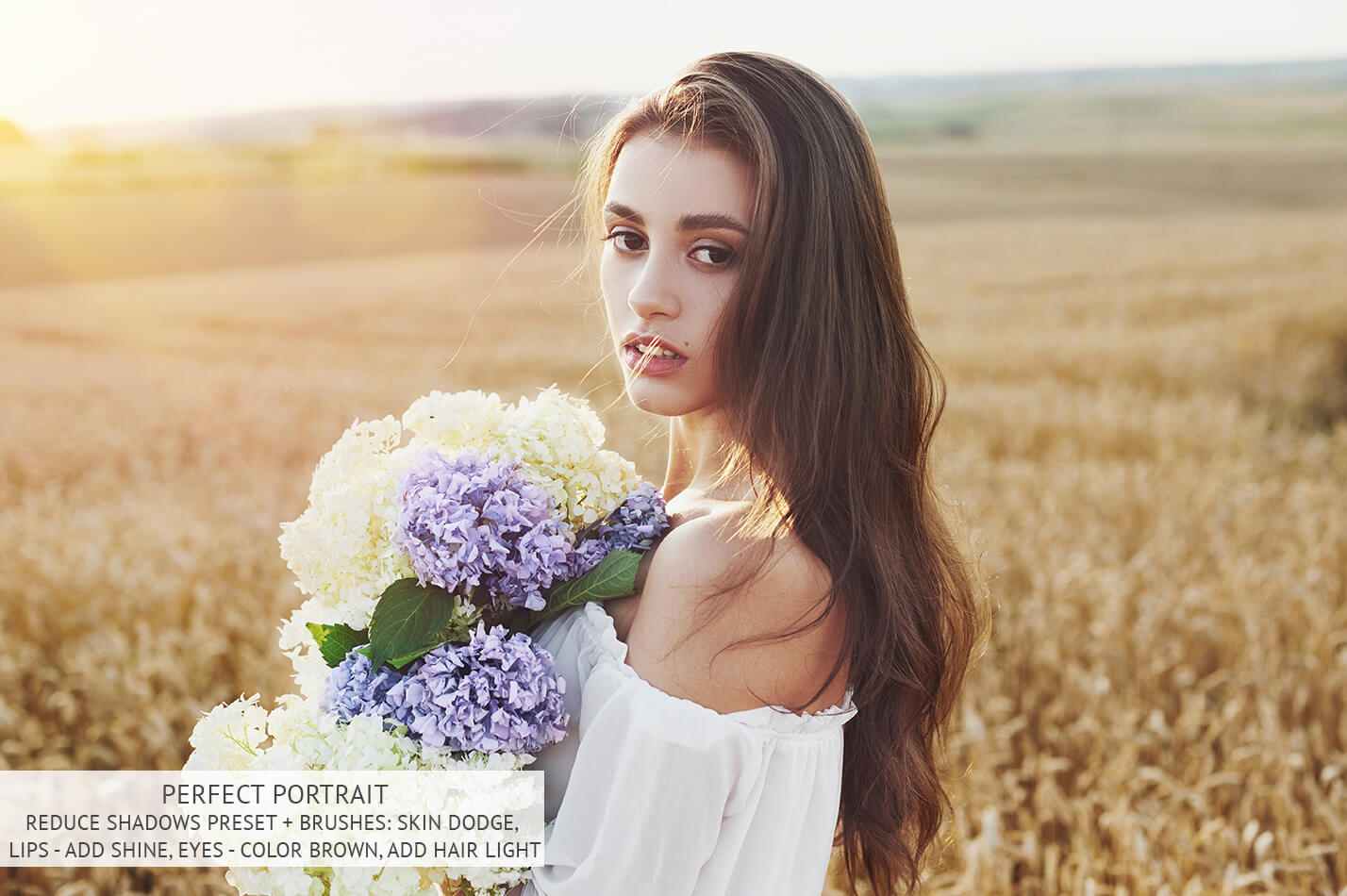 Lightroom Brushes for PortraitsPerfect Lightroom Brushes Portraits