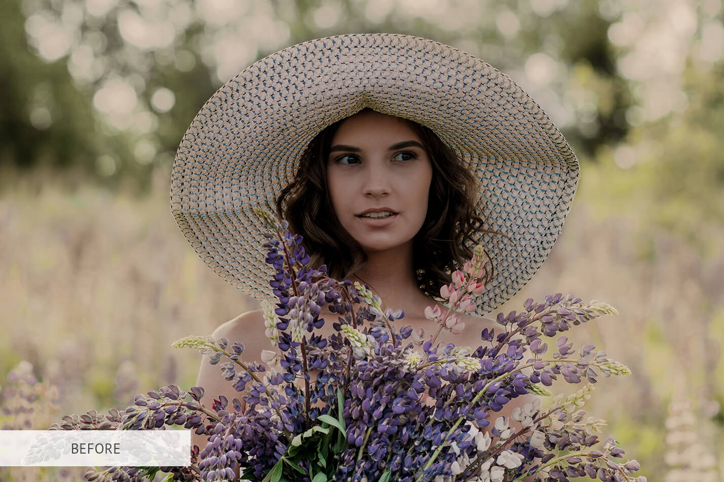 Lightroom Brushes for PortraitsPerfect Lightroom Brushes Portraits