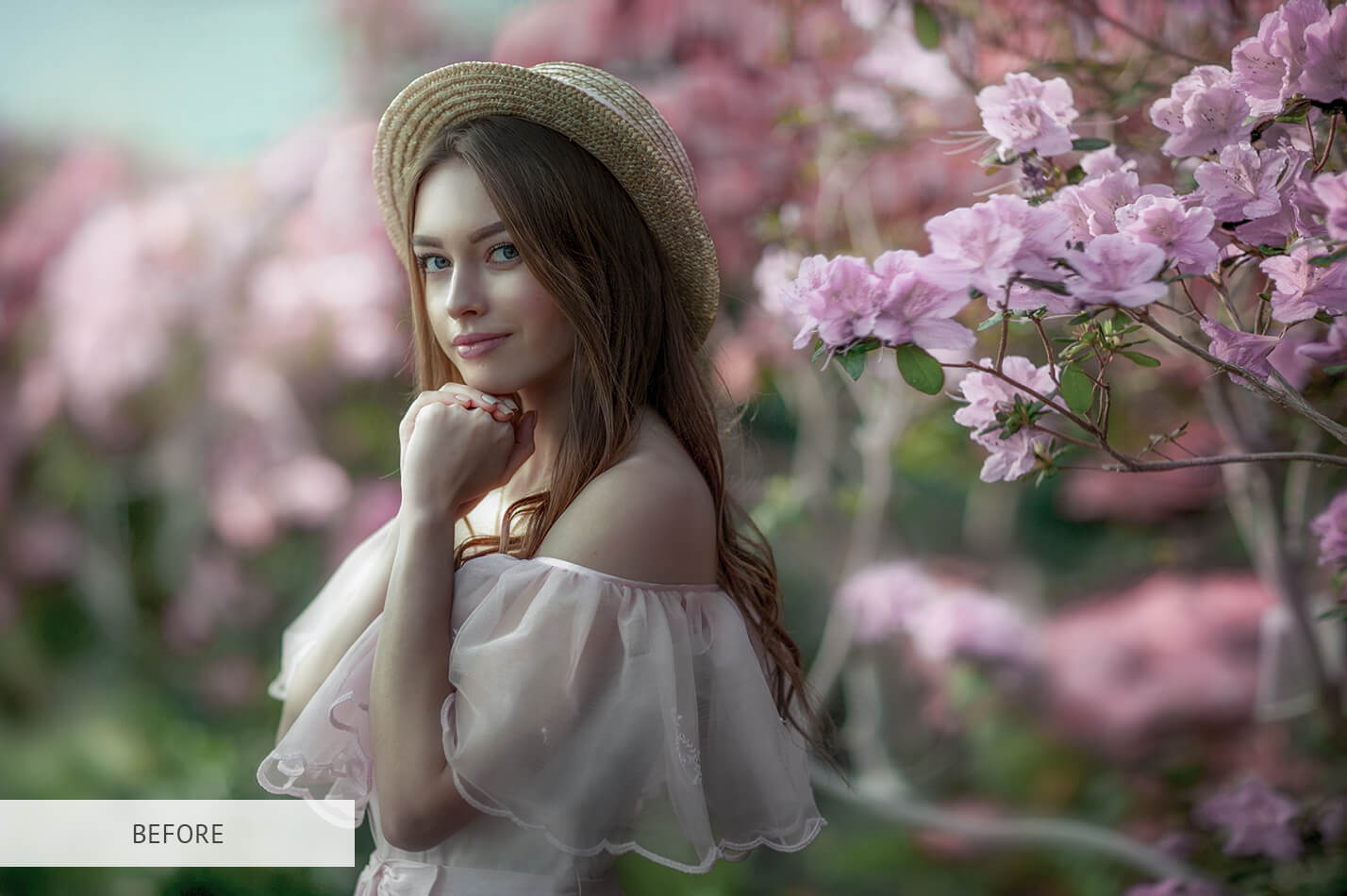 Lightroom Brushes for PortraitsPerfect Lightroom Brushes Portraits