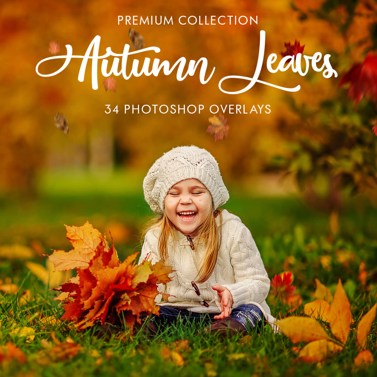 Autumn Leaves Photoshop Overlays