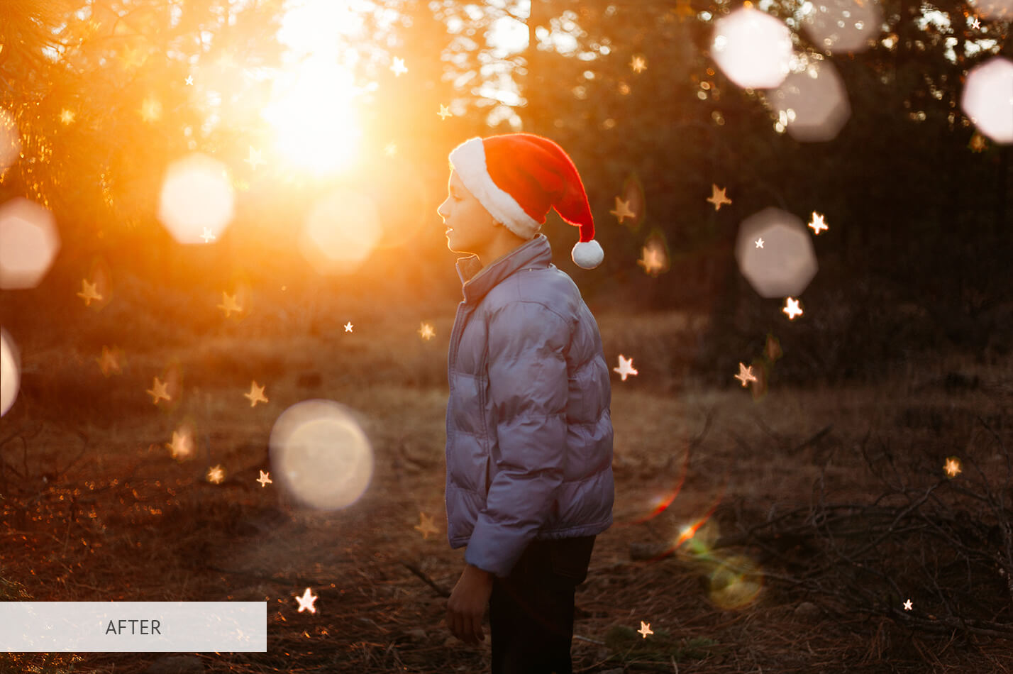 Christmas Light Bokeh Overlay Christmas Bokeh