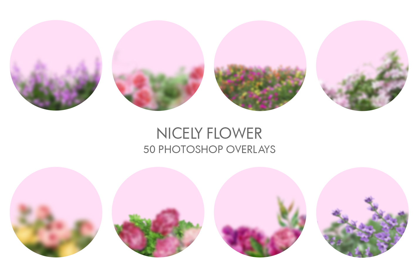 Nicely Flower Overlay Flower Overlays in Set