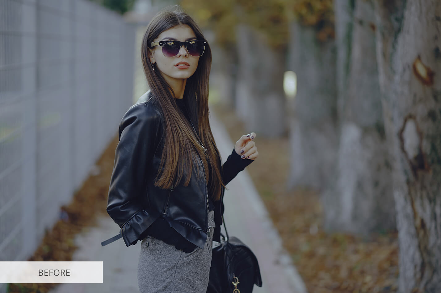 Camera Photoshop Overlays